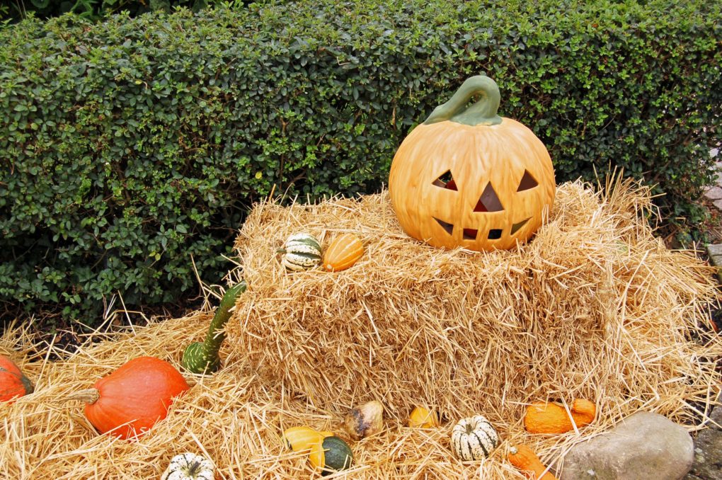 Things to Do for Halloween Inland Empire | Fiesta Village